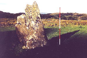 Ardpatrick standing stone -  photo