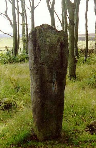 Millport, Cumbrae - standing stone