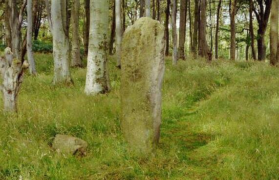 Millport, Cumbrae - standing stone