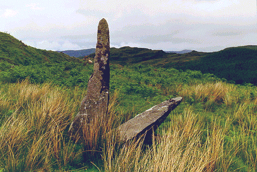 Salachary stones