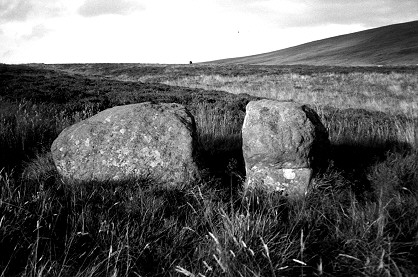 Sherrifmuir alignment - split stone