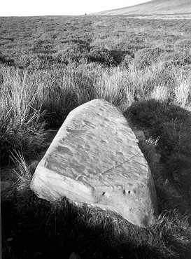 Sherrifmuir alignment - Cupmarked stone